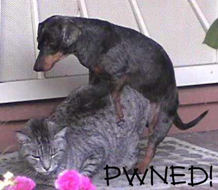 pwned[1].jpg