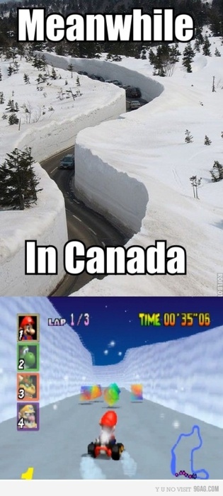 Meahwhile In Canada.jpg